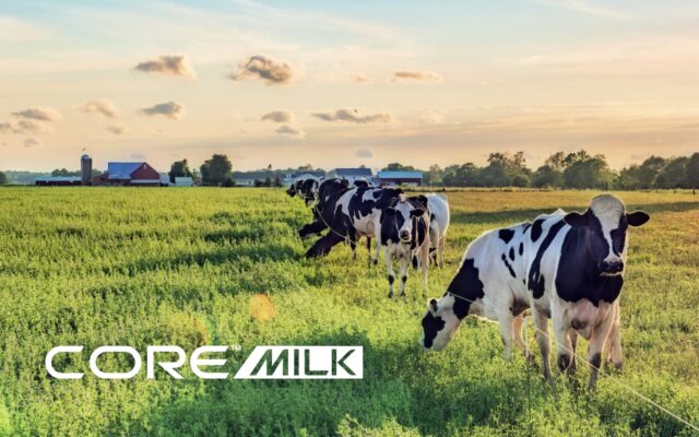 From Farm to Factory: Why Real-Time Dairy Data is the Future