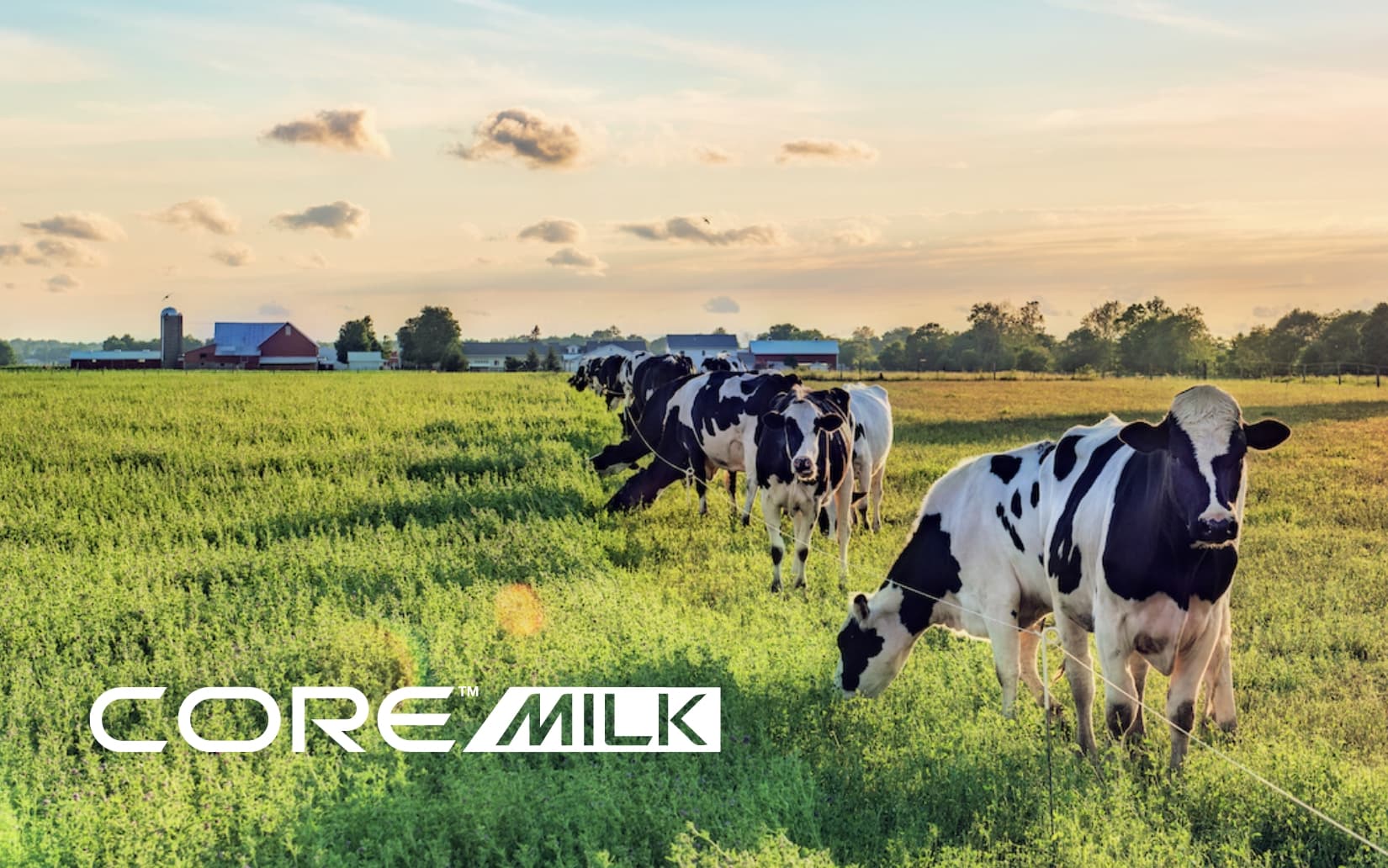 Blog COREmilk – Realtime Dairy 1