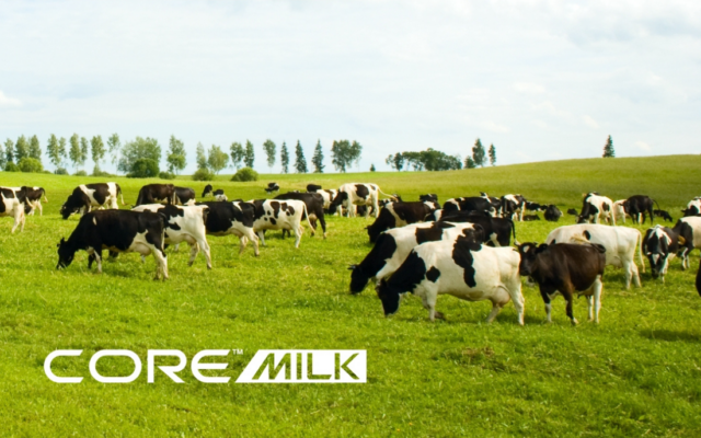 The ESG data gap in dairy: why dairy co-ops and processors need a smarter approach