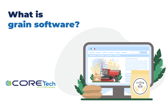 What is Grain Software?
